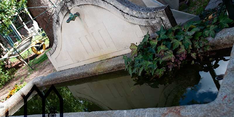 Patio - Detalle Abrevadero